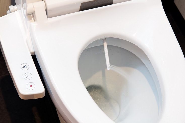 Built in Bidet_shutterstock_Milkovasa