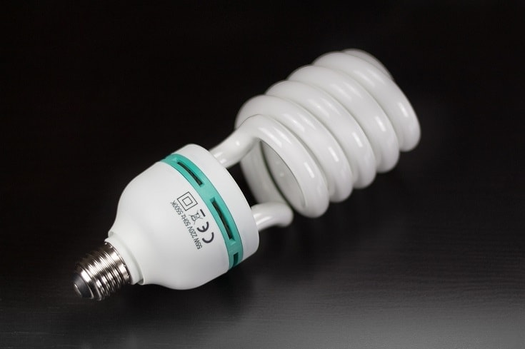 CFL Bulb
