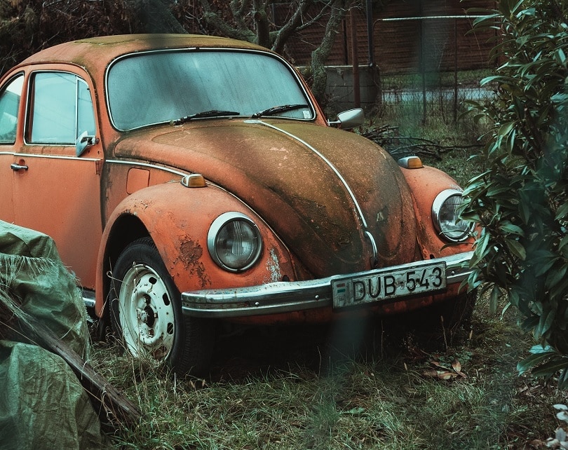 Car with molds