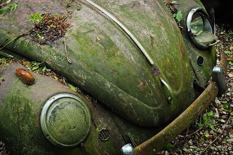 Car with molds