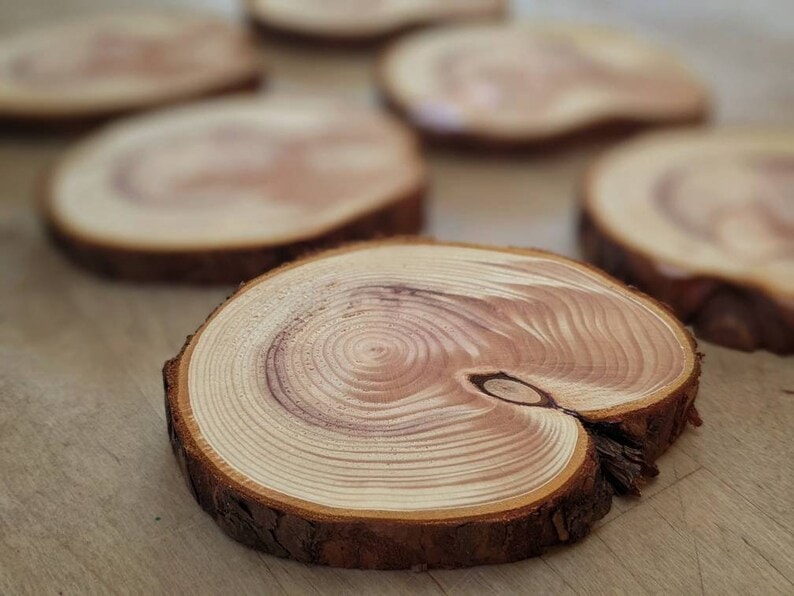DIY Cedar Wood Projects You Can Build Today