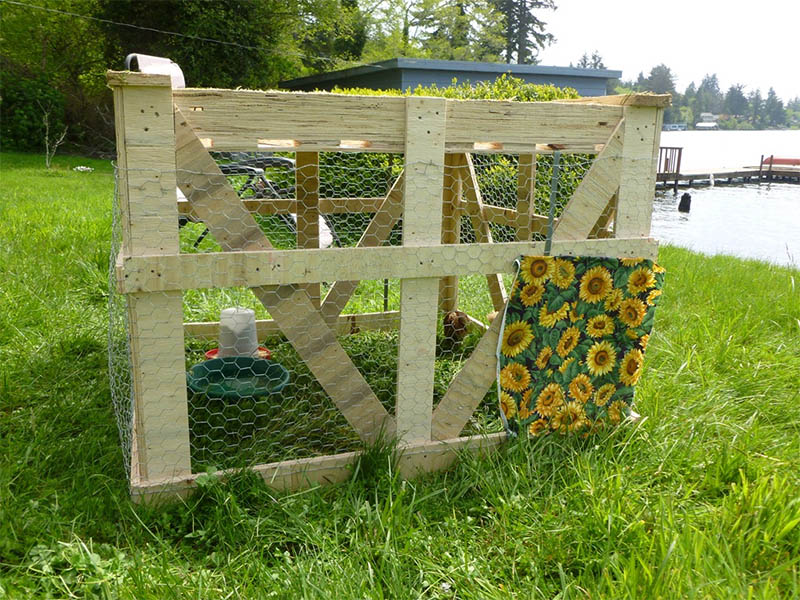 Chicken Coop for Less than $20.00
