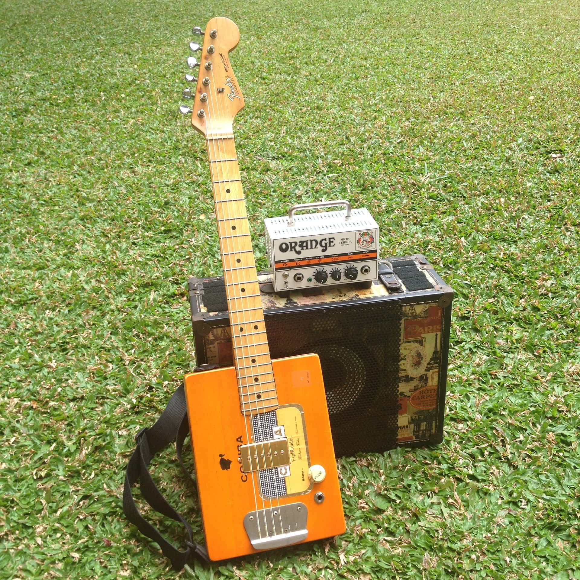 Cigar Box Guitar