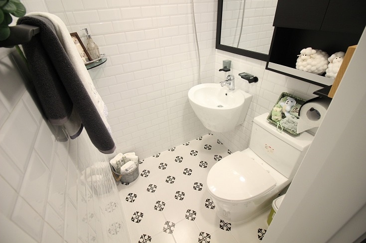 Clean Toilet
