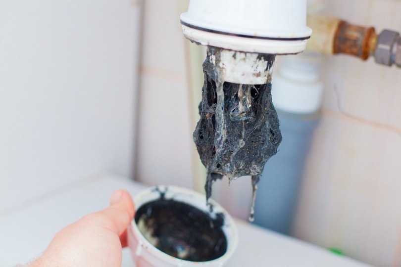 Clogged-sink-pipe_Satyrenko_shutterstock