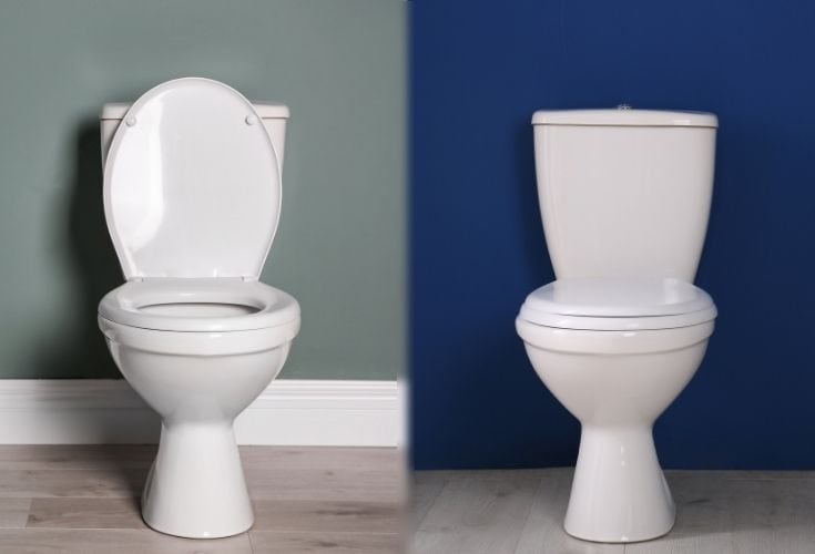 Comfort Height vs Standard Toilet