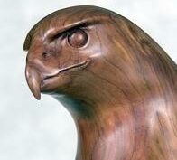 Comfort eagle