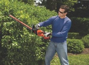 9 Best Cordless Hedge Trimmers of 2026 - Reviews & Top Picks | Home Grail
