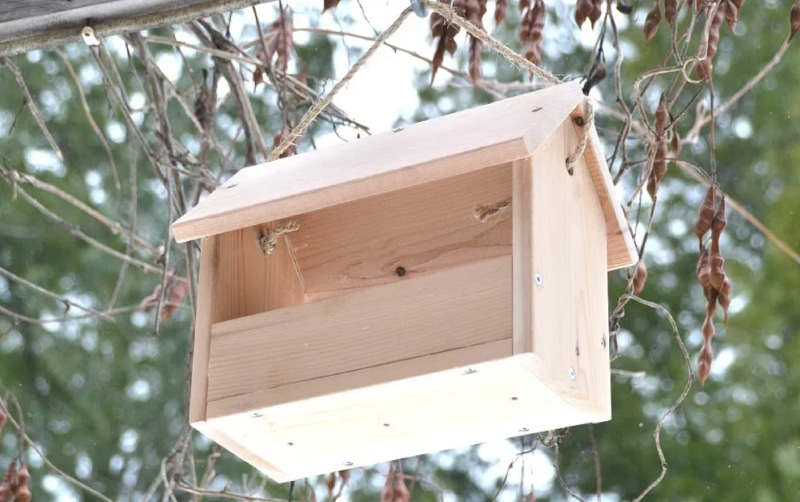 DIY Bird Feeder – $4 and 20 minutes to make