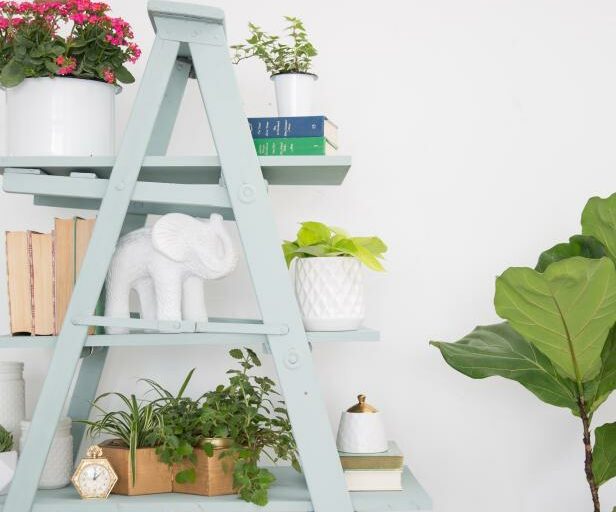 DIY Ladder shelf