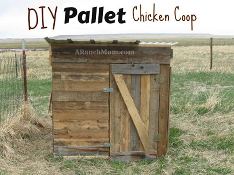 DIY Pallet Chicken Coop by A Ranch Mom