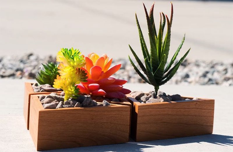 DIY Succulent Planter by Home Crux