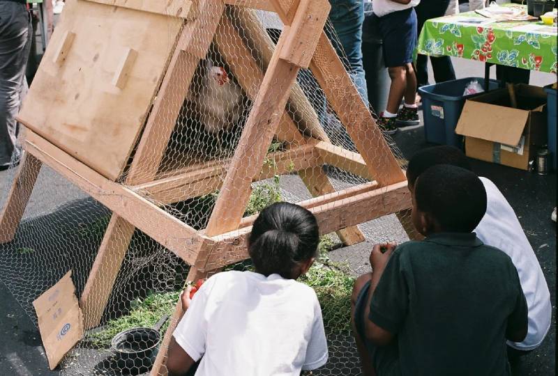DIY a-frame coop