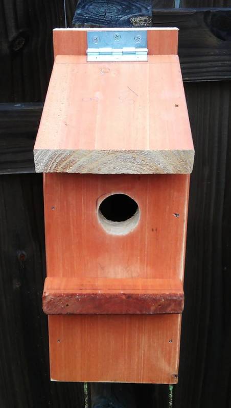 DIY bluebird house