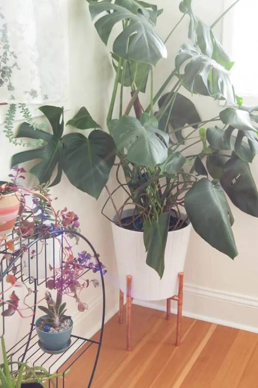 DIY copper plant stand