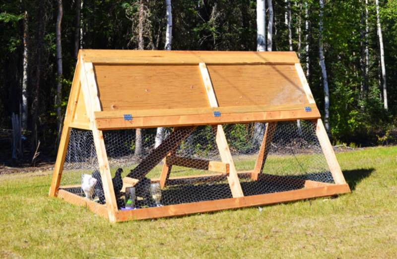 DIY frame chicken coop