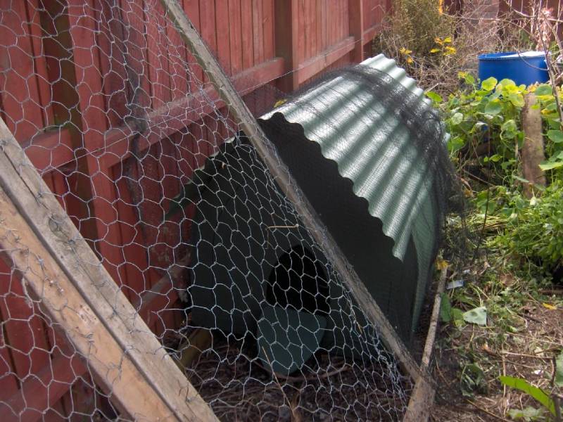 DIY gothic chicken coop