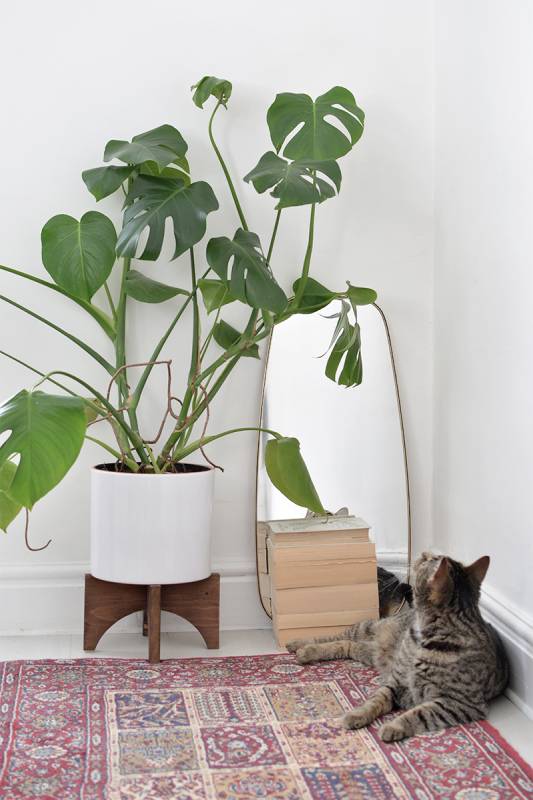 DIY mid century plant stand 