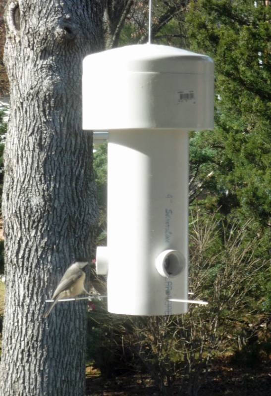 DIY squirrel-proof bird feeder