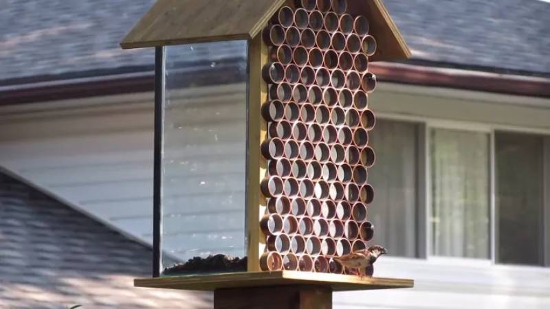DIY squirrel proof bird feeder