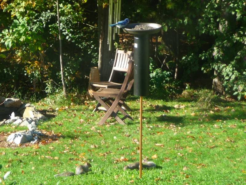 DIY squirrel proof bird feeder