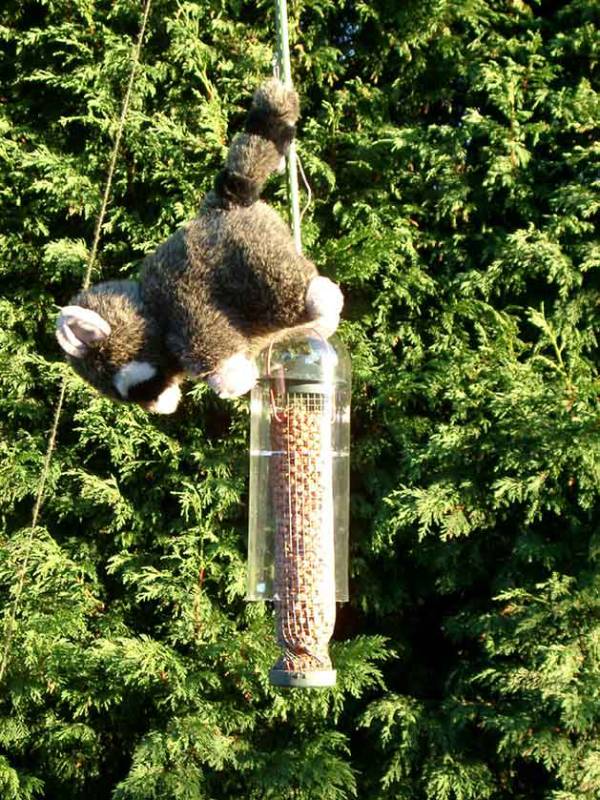 DIY squirrel proof bird feeder