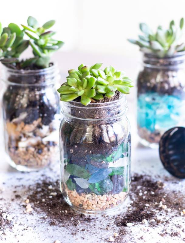 DIY summer succulent mason jar planters