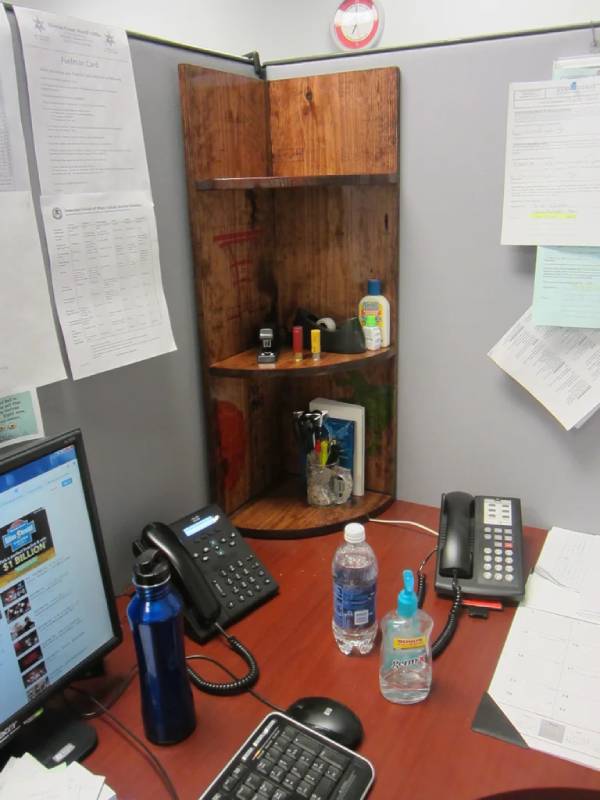 DIY the bat-shelf