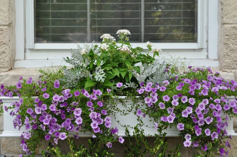 DIY window box