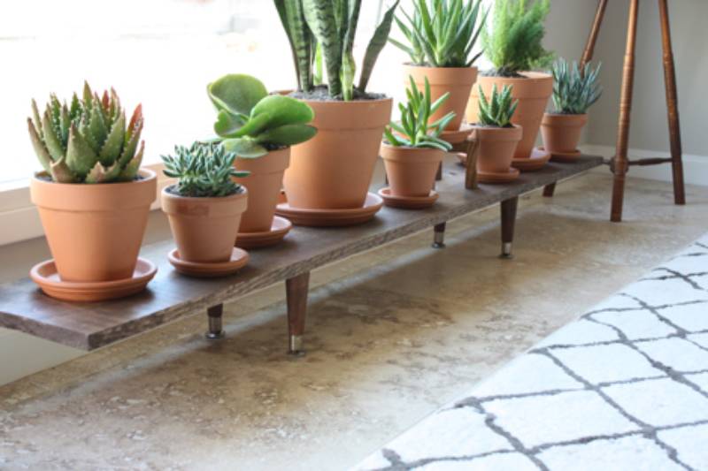 DIY wooden plant stand