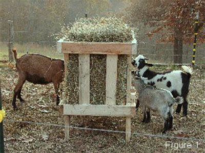 DO IT YOURSELF GOAT FEEDER 400