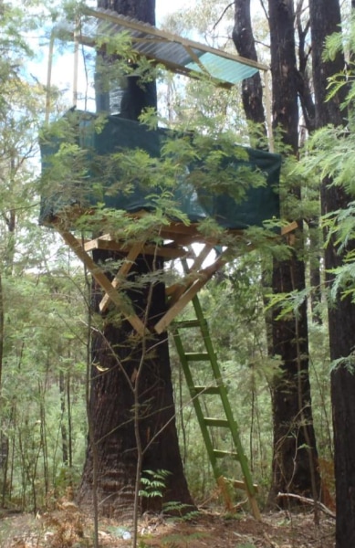 DIY Deer Tree Stand Plans