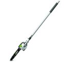 EGO POWER+ 10” Pole Saw