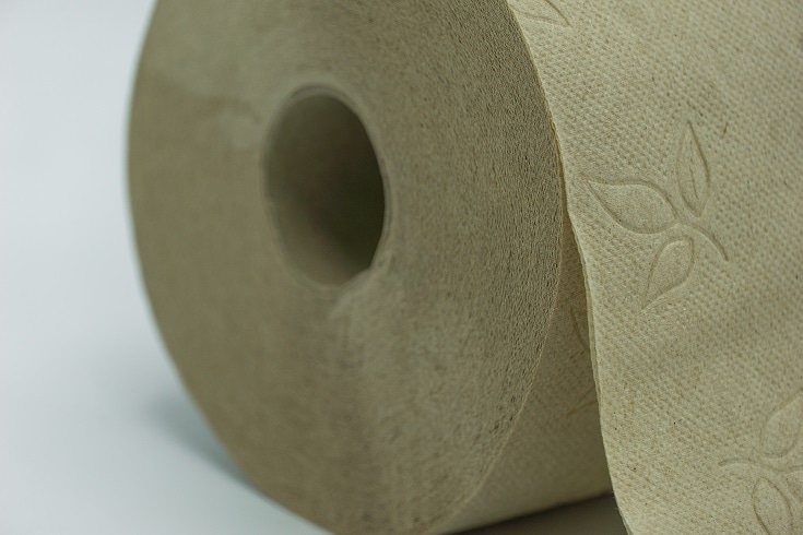 Ecofriendly Toilet Paper_shutterstock_nilfort