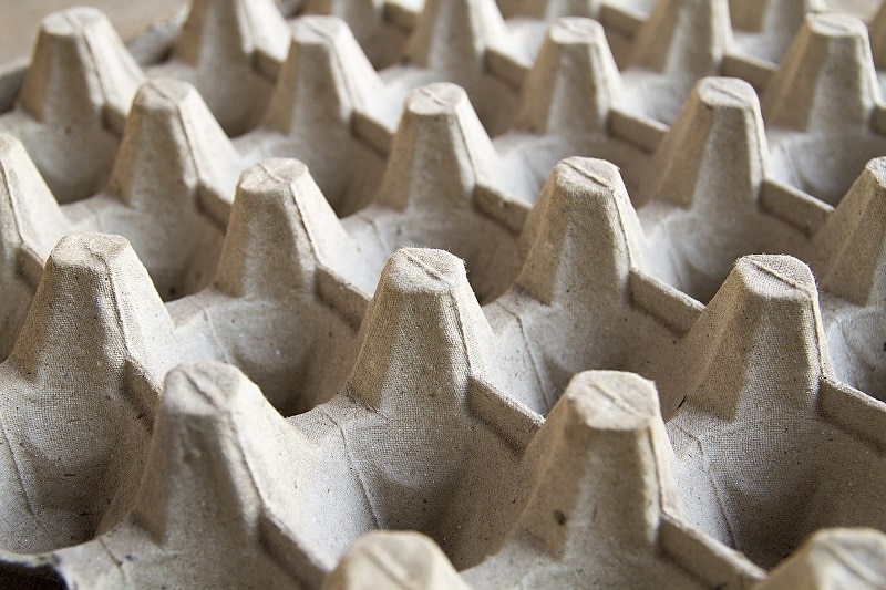 Egg Carton