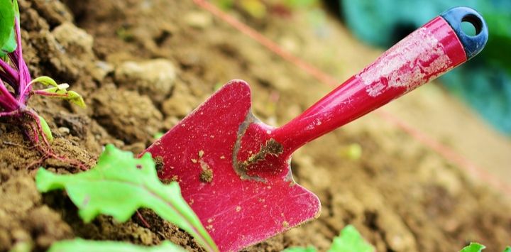 Gardening