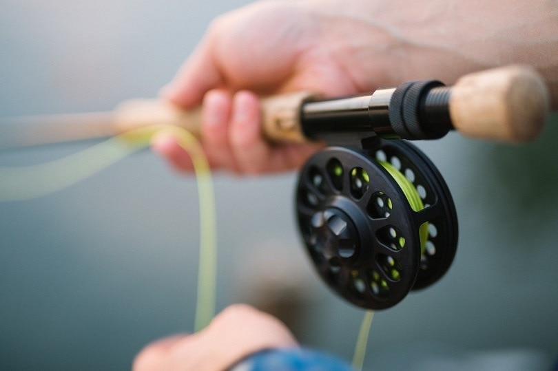 Fishing rod