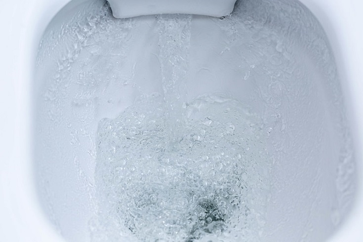 Flushing toilet