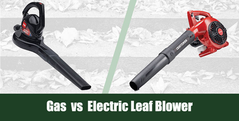 Gas vs Electric Leaf Blower