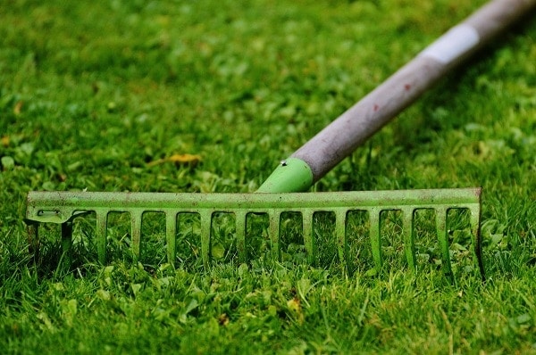 Green Rake