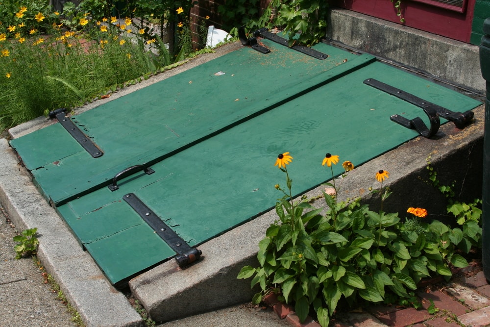Green Bulkhead Door leading to basement in garden cellar
