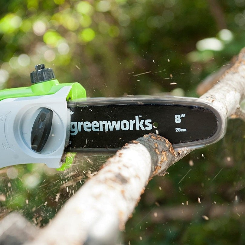 Greenworks amazon