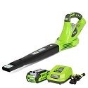 Greenworks Variable Speed (24252)