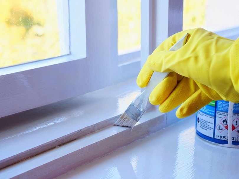 Handyman paints a window frame_Whiteaster_shutterstock