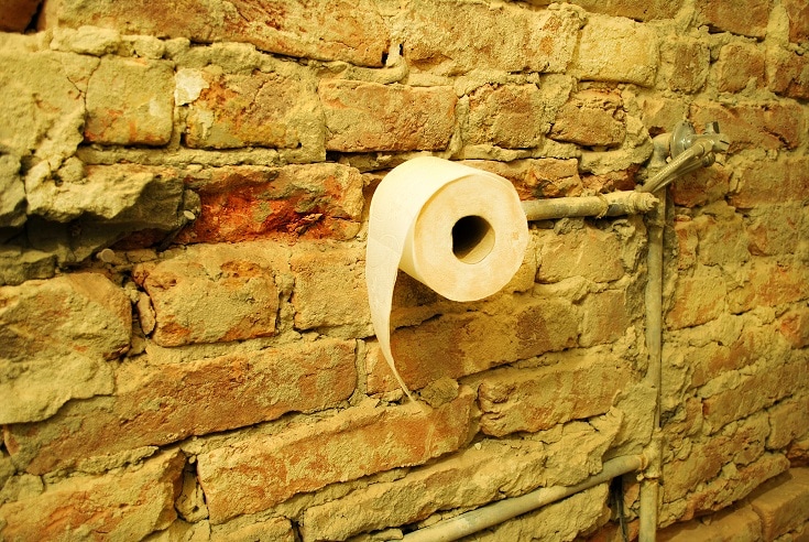 History of Toilet Paper_shutterstock_BaxterStockman