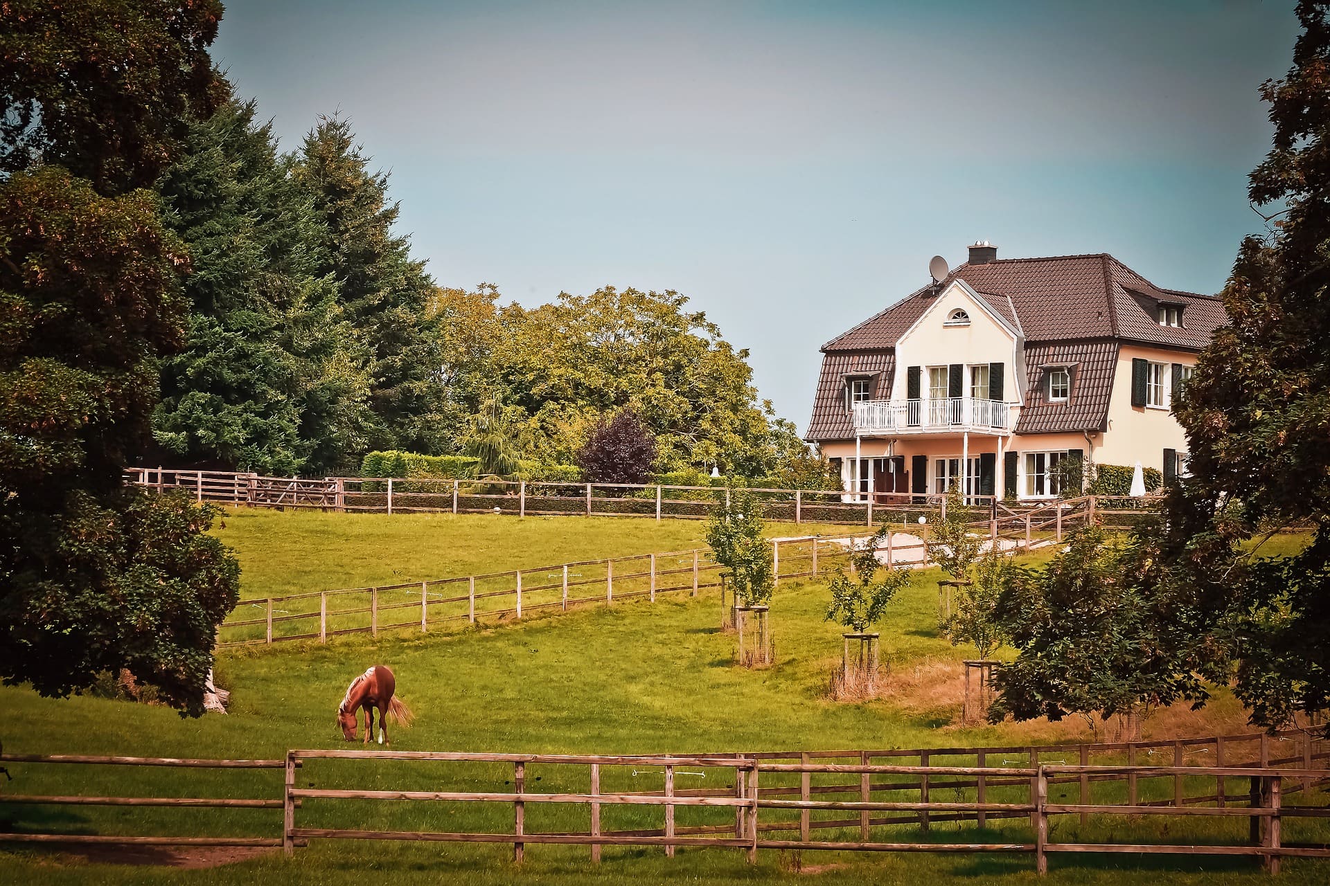 Horse House