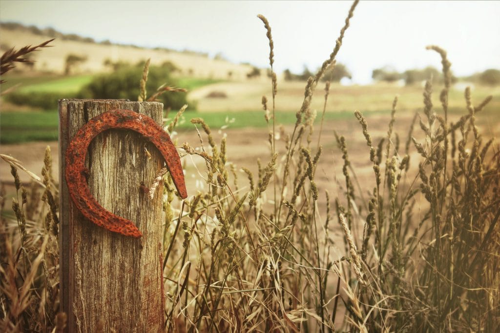 Horse shoe