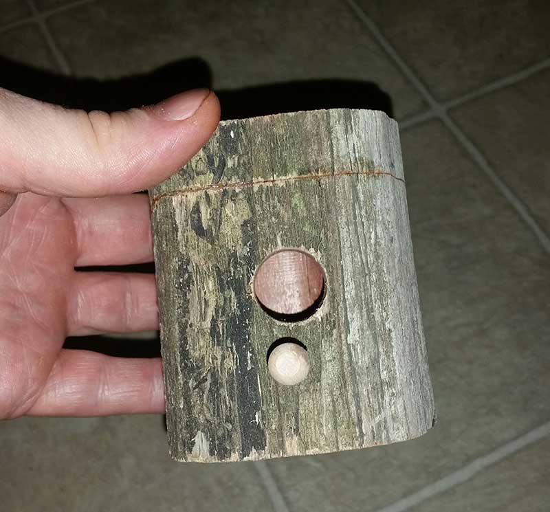 Hummingbird House