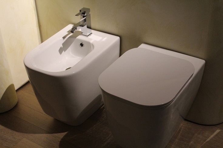 In Toilet Bidet