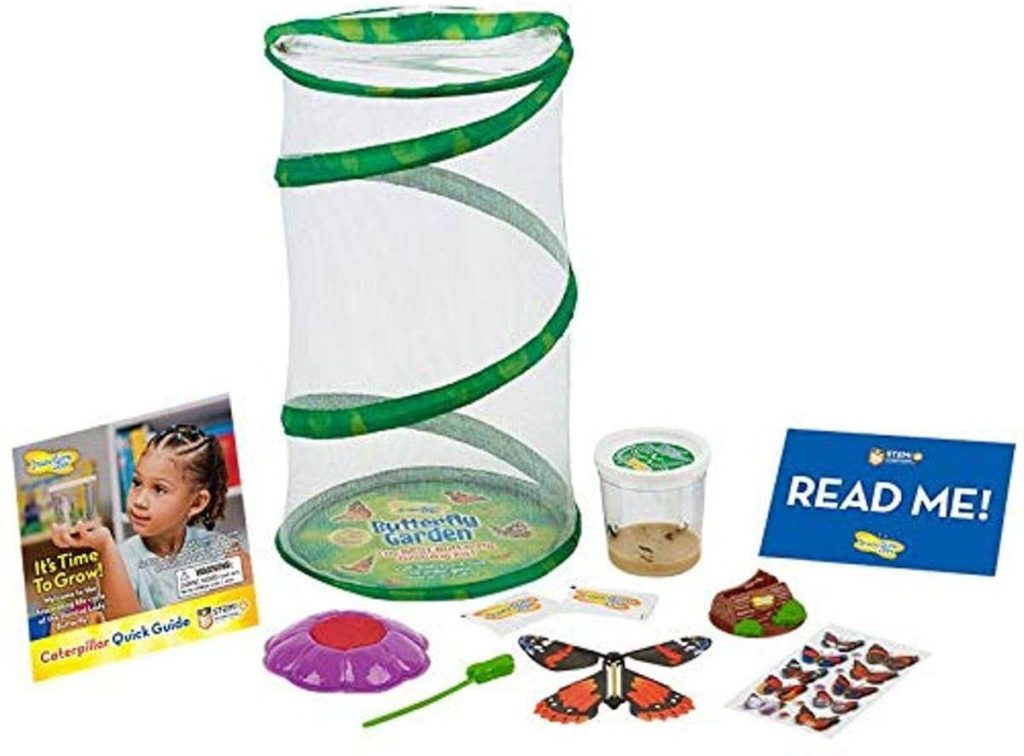 Insect Lore Live Butterfly Garden Gift Set